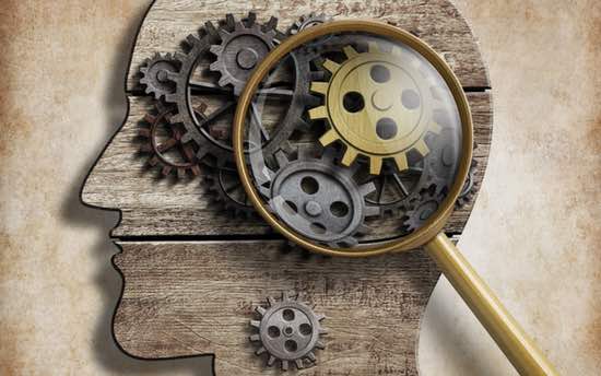 brain science psychology Calgary therapist